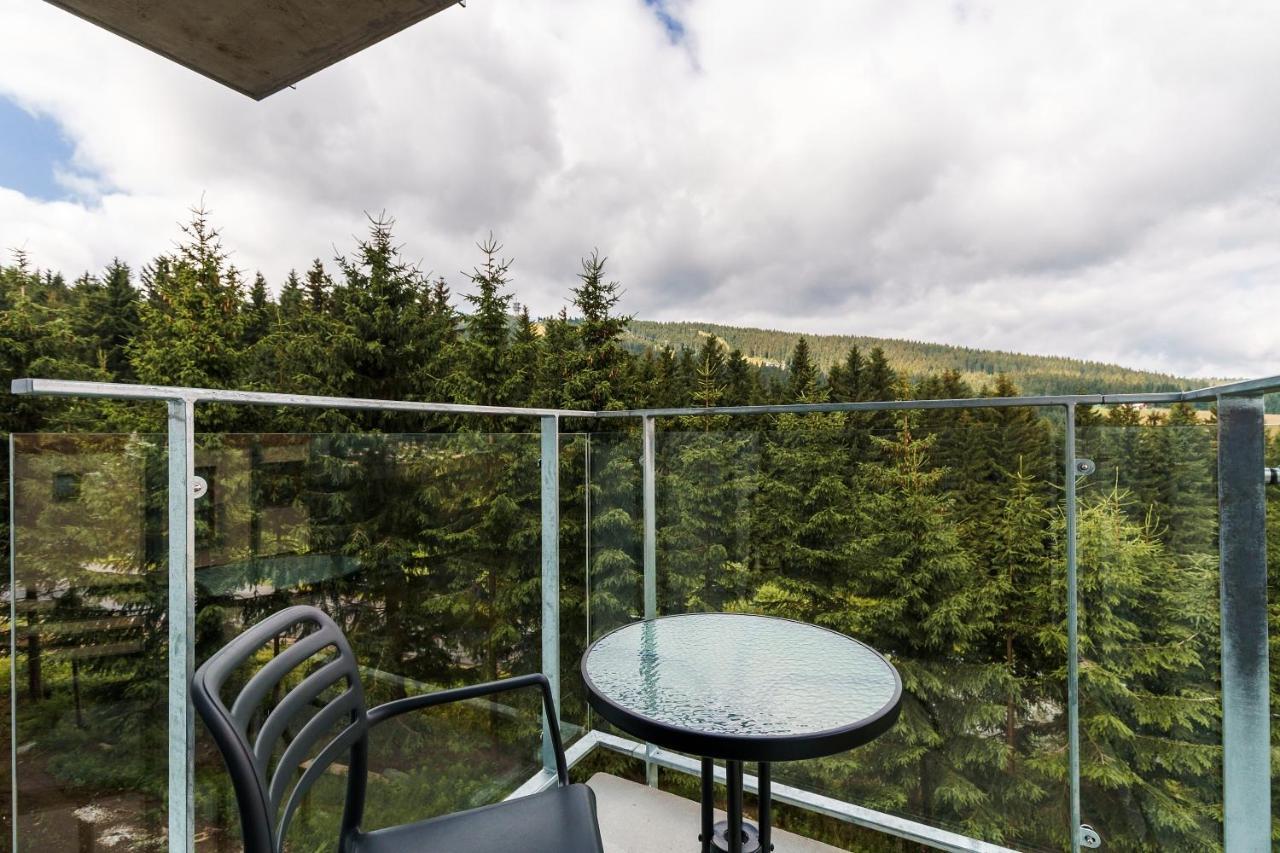 Green Apartment Klinovec By Mountain Ways Loučná pod Klínovcem Εξωτερικό φωτογραφία